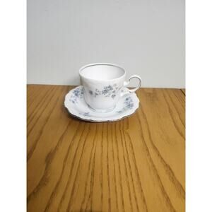 Johann Haviland Blue Garland Flat bottom cup and saucer